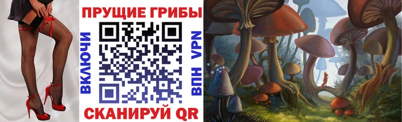 купить закладку  Городище  Псилоцибиновые грибы Magic Shrooms 